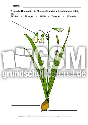 Märzenbecher-beschriften.pdf